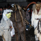 DSC_0462.jpg