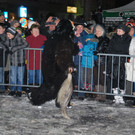 DSC_0467.jpg