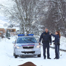 Stier Verfolgung18.jpg