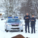 Stier Verfolgung19.jpg