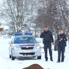 Stier Verfolgung20.jpg