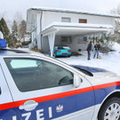 Stier Verfolgung30.jpg
