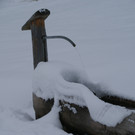 DSC06319.JPG