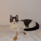 DSC00908.JPG