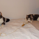 DSC00911.JPG