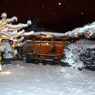 DSC_3276.jpg
