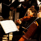 DSC00724_JPG-1355165339