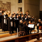 DSC00728_JPG-1355165368