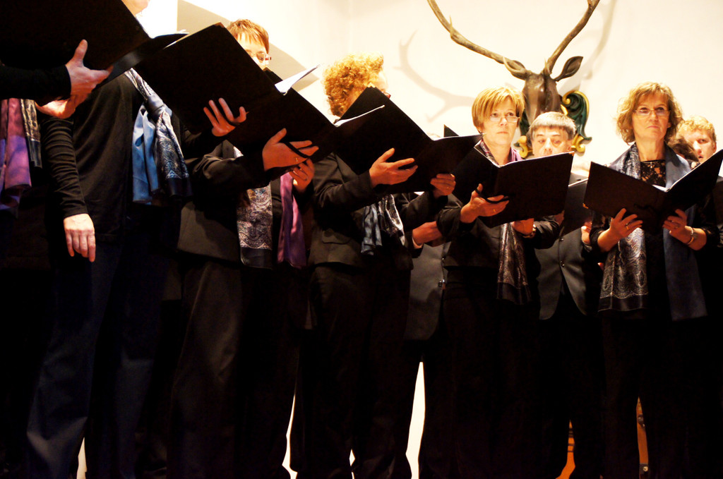 DSC00533_JPG-1355166385