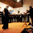 DSC00539_JPG-1355166414