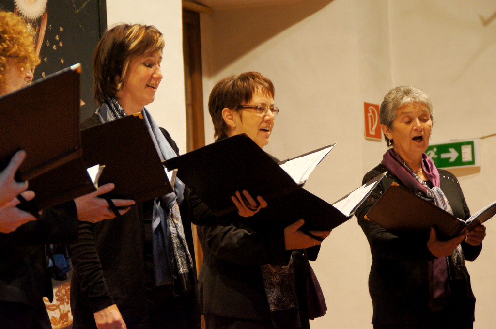 DSC00561_JPG-1355166528