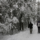 _MG_0232_JPG-1355182167