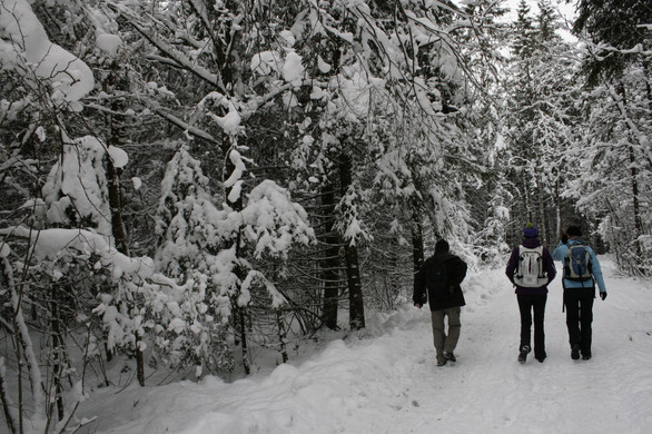 _MG_0232_JPG-1355182167