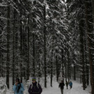 _MG_0238_JPG-1355182184