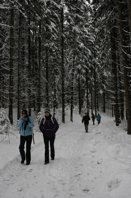 _MG_0238_JPG-1355182184