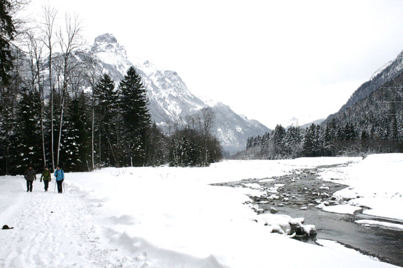 _MG_0244_JPG-1355182190