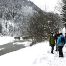 _MG_0251_JPG-1355182207