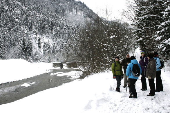 _MG_0251_JPG-1355182207