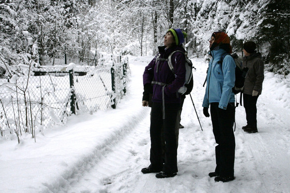 _MG_0258_JPG-1355182216