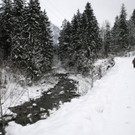 _MG_0266_JPG-1355182226