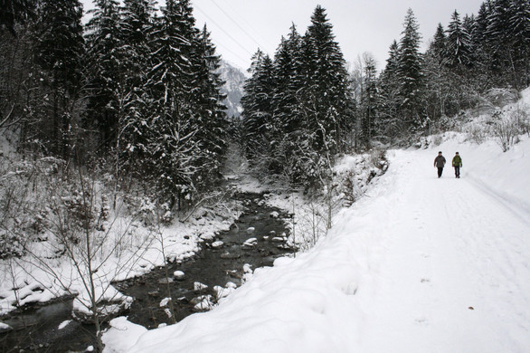 _MG_0266_JPG-1355182226