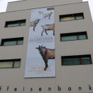 DSCN1011_JPG-1355182866