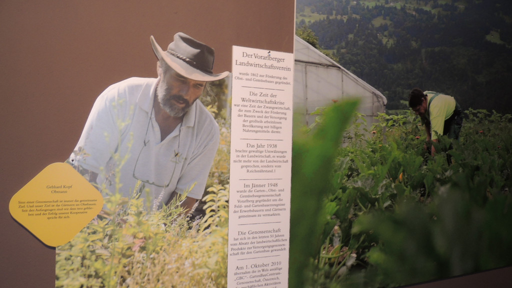 DSCN0998_JPG-1355182835