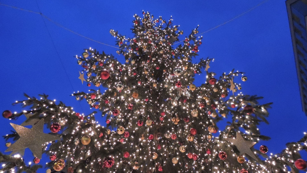 DSCN0442_JPG-1355186807