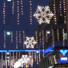 DSCN0466_JPG-1355186811