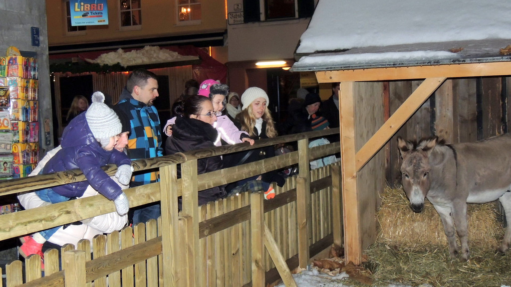 DSCN0490_JPG-1355186823