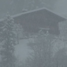 normal_10122012fmt_schneefall_leogang_sa015.jpg