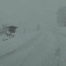 normal_10122012fmt_schneefall_leogang_sa022.jpg