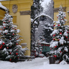 normal_10122012FMT_HellbrunnerAdventZauber_ex_02.jpg
