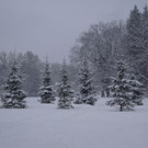 normal_10122012FMT_HellbrunnerAdventZauber_ex_03.jpg