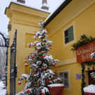 normal_10122012FMT_HellbrunnerAdventZauber_ex_08.jpg