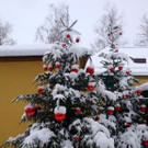 normal_10122012FMT_HellbrunnerAdventZauber_ex_10.jpg