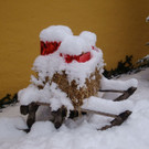 normal_10122012FMT_HellbrunnerAdventZauber_ex_14.jpg