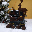 normal_10122012FMT_HellbrunnerAdventZauber_ex_16.jpg