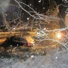 IMG_0183 _Medium_.JPG