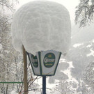 schruns1.jpg