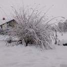 WP_000294.jpg