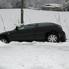 IMG_8479.JPG