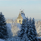 06.jpg