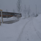DSC06338.JPG