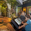 Walddiorama_Kressl _6_.jpg