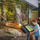 Walddiorama_Kressl _7_.jpg