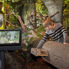 Walddiorama_Kressl _8_.jpg