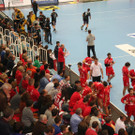 IMG_0181_JPG-1355247170