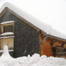 DSC06358.JPG