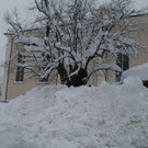 DSC06344.JPG